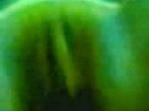 India hollywood sexy movie hd वेबकॅम जोडप्यासाठी