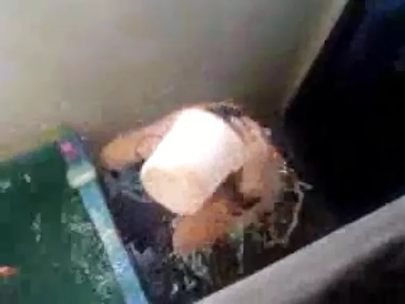 दोन दासी सेक्सी शो मध्ये Voyeur शॉवर Voyeur शॉवर दाखवतात