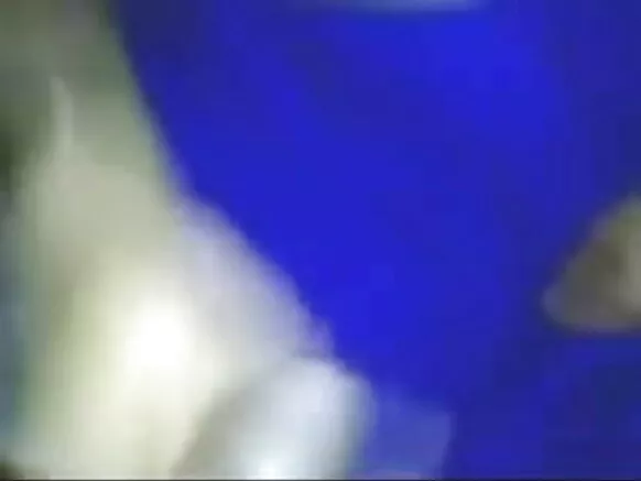 indian indian sexy funny movie बायको