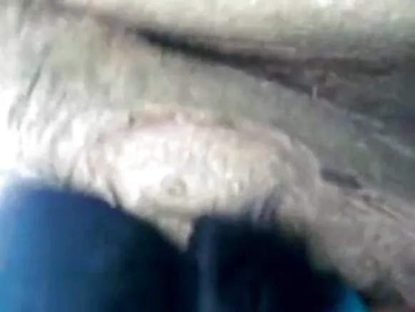 आंटी इंडिया आंटी इंडिया 1335 हिरोईन सेक्सी चित्रपट