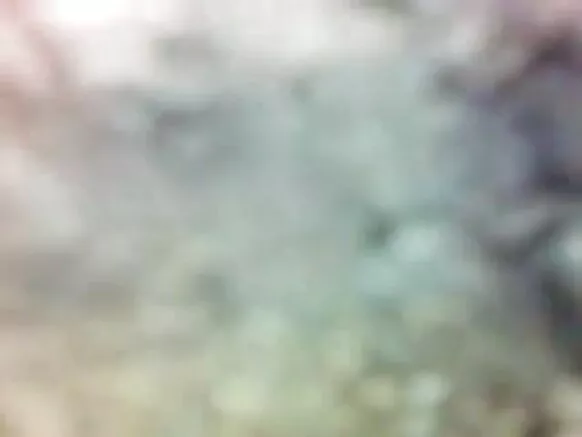 hidden animals sexy movie video बाथरूम hidden बाथरूम
