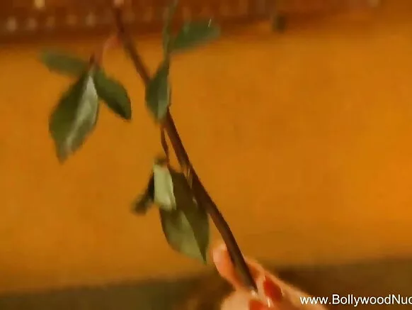 इंग्रजी निळ्या व्हिडिओमध्ये भारतीय प्रेमी एकटा झाला