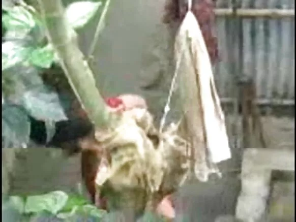 देसी मुलीची आंघोळ देसी आउटडोर सेक्स मूवी विडिओ बाहेरची