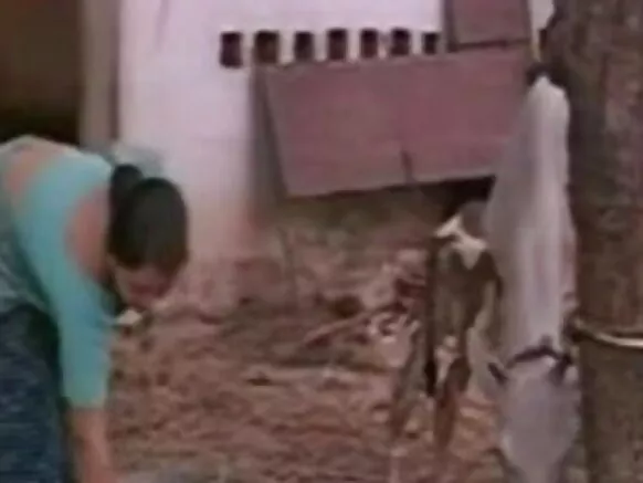 भारतीय मोबाईल चित्रपटातील देविका एचडी हिंदी सेक्सी चित्रपट