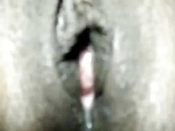 देसी भाभी देसी x x x हिंदी फोटो भाभीची क्रीमपी