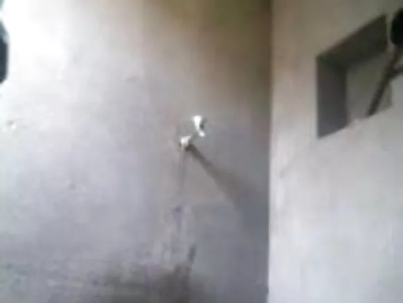 बांगला मुलगी 29 मोबाईल चुलत बहिणीचा छुपा कॅमेरा पाहत आहे सेक्सी व्हिडिओ हिंदी