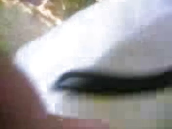 sexy mobile sex blue film punjabi outdoor